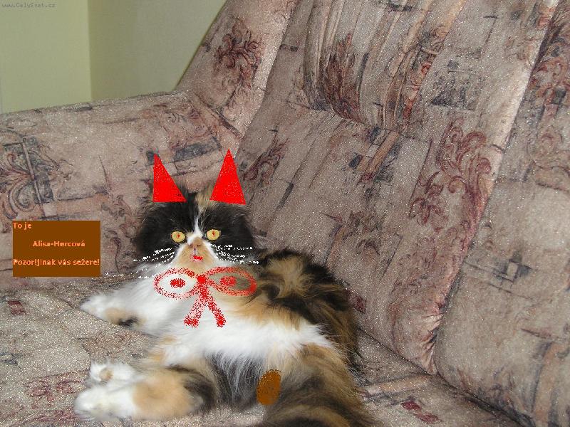 Foto: Alisa-Sv�t� mi do o�� slun��ko