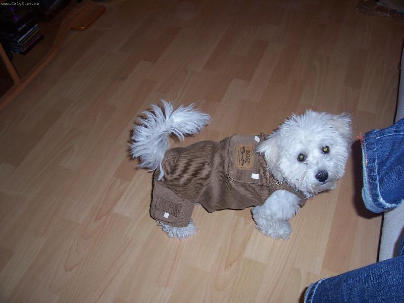 Foto: muficek a jeho prvni laclace-muficek a jeho prvni laclace