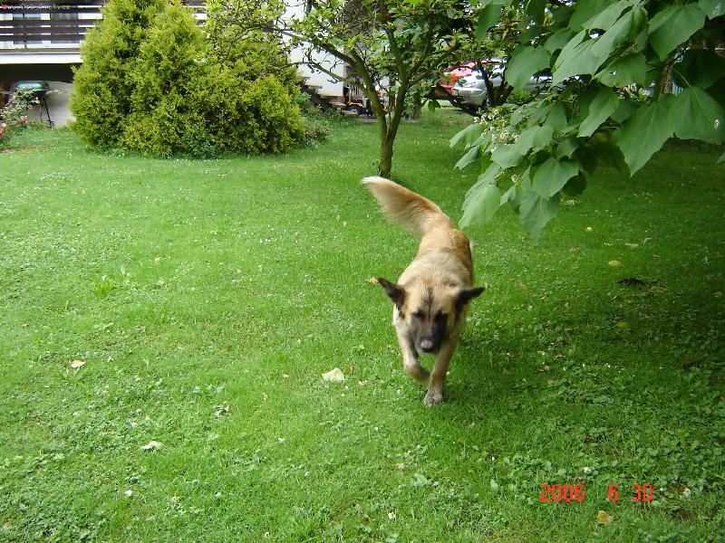 Foto: vo��ek-let�