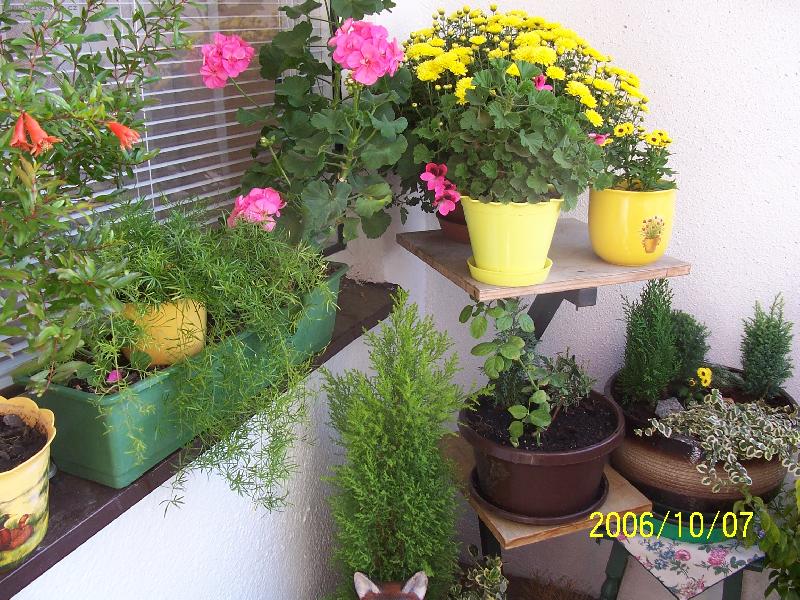 Foto: Balkon-Mal� balkonov� zahr�dka