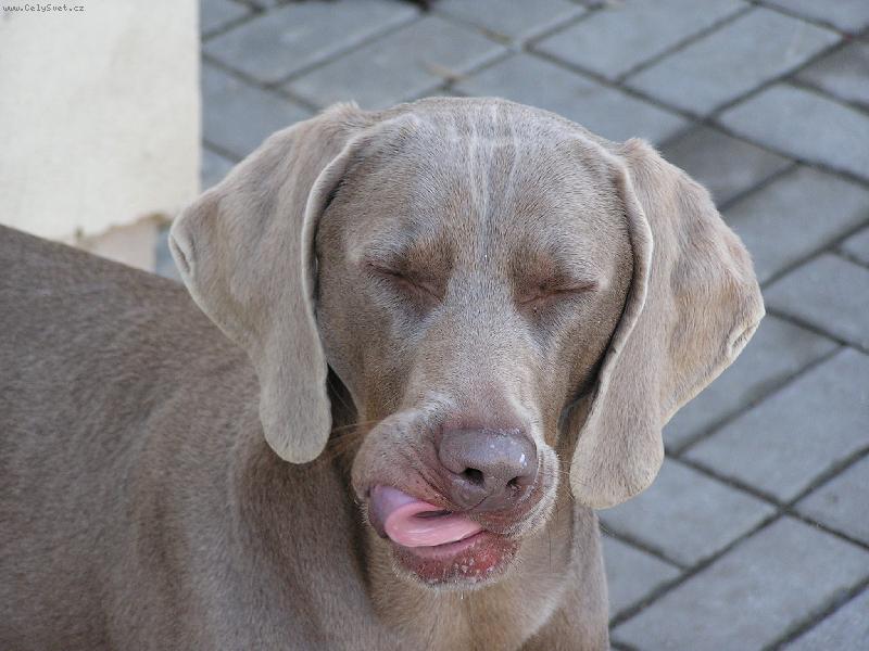 Foto: M�aamky...;-*