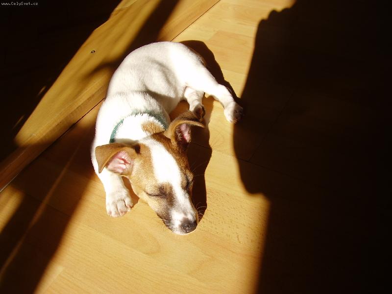 Foto: mal� Mija poprv�