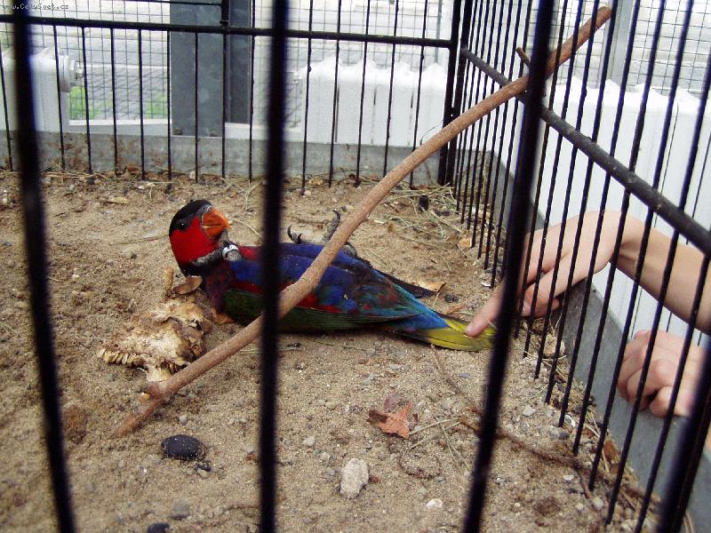 Foto: poledn� klid