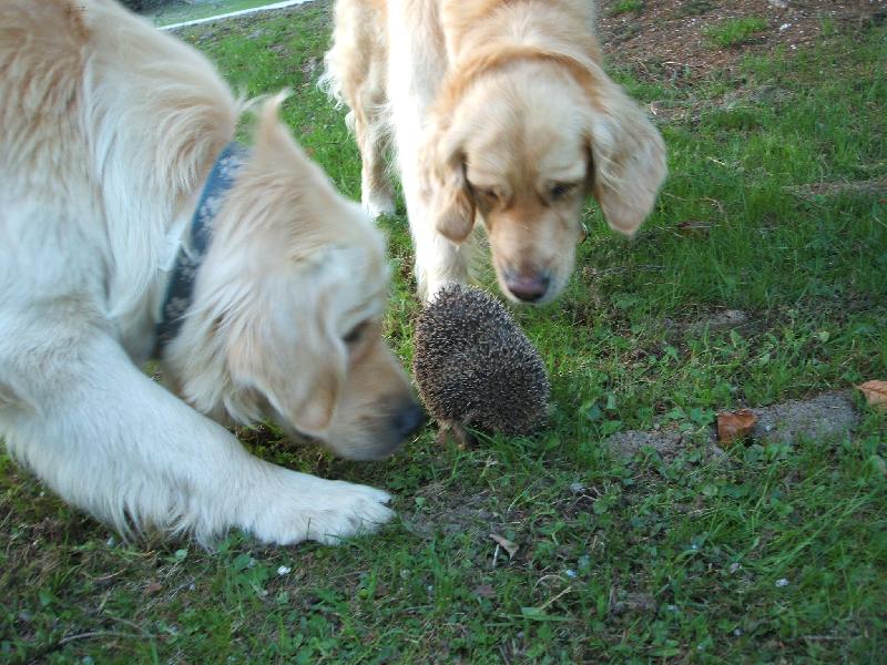 Foto: Willy,F�na a je�ek