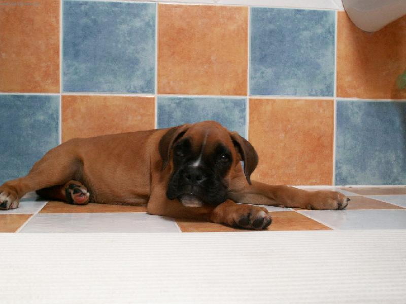 Foto: Mi�tko-To jsem bylo je�t� mal� roztomil�...Mi�tko