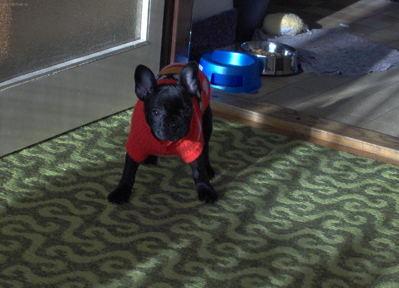 Foto: Na�e Bettynka-...tak,jsem p�ipraven�,JDEME!