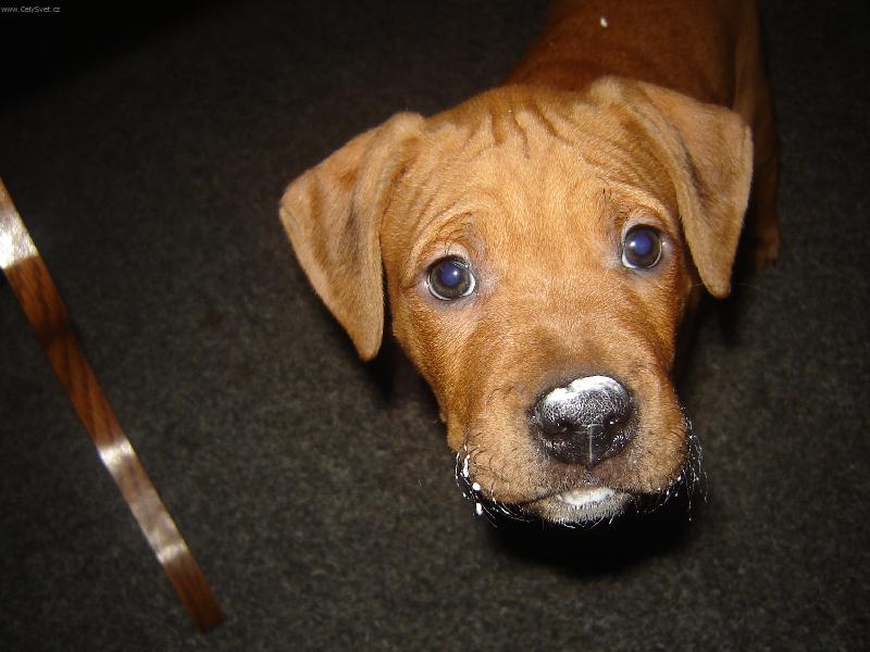 Foto: M�ami to bylo dobr�!!-Pitt