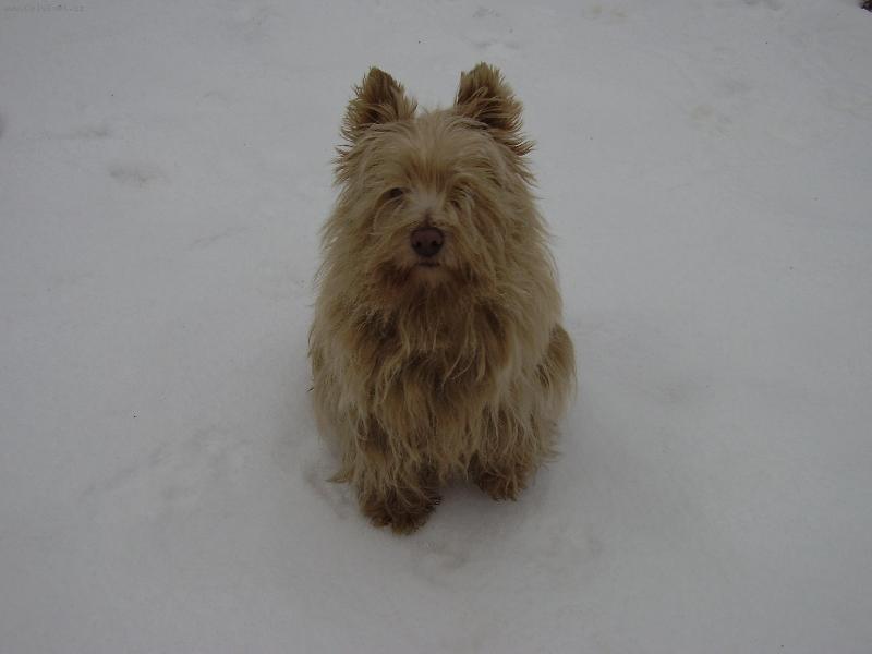 Foto: Ab��ek-no trochu neupravenej