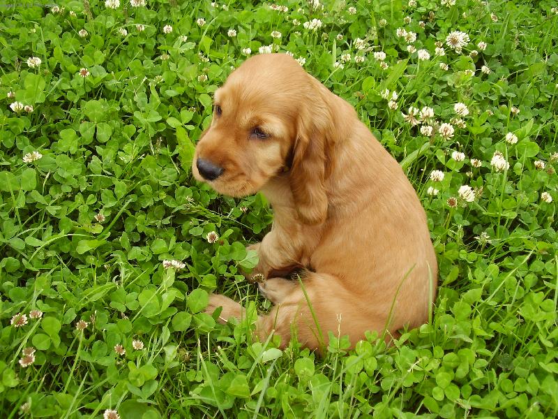 Foto: Ha��-Mielj Artur