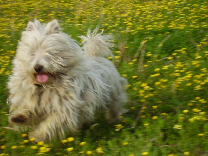 Foto: to  je sprint-no jo cht�la jsem mu ut�ct