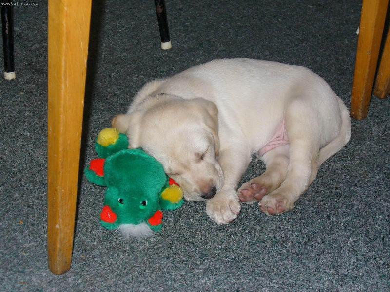 Foto: Sp�nk��m...neru��it