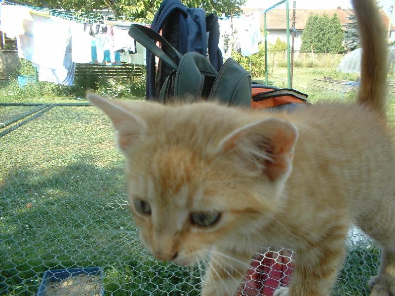 Foto: �i�ina-�much�m, �much�m... :)