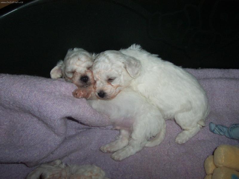 Foto: Jak dlouho ti to bude trvat?