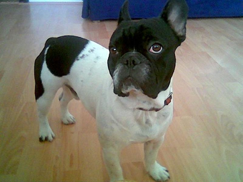 Foto: Jak dlouho ti to bude trvat?