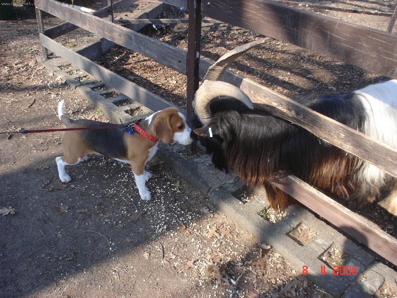 Foto: Kamar�dstv�-Ahoj, j� jsem Beyli a ty?