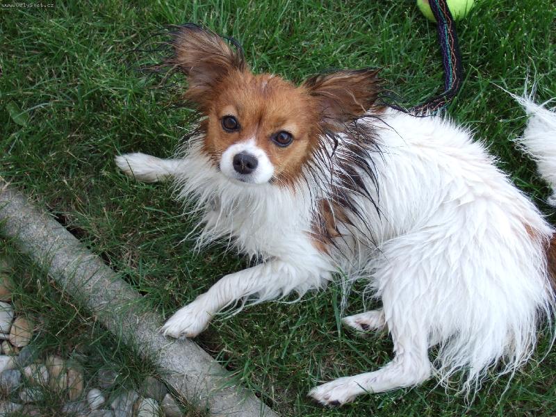 Foto: Mokrou�-Prv� jsem se vykoupala no, tak se nesm�jte.