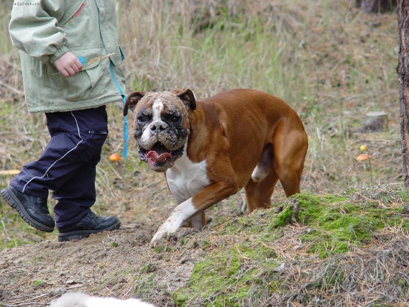 Foto: To by bylo, abych se nezahrabal... :o)-Proch�zka lesem a prohled�v�n� nov�ch m�st...