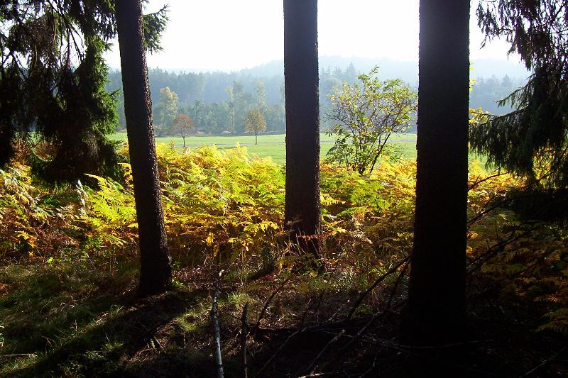 Foto: Kouzeln� kaprad�