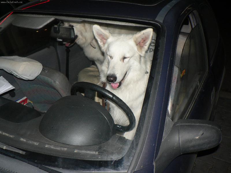 Foto: o ��zen� na sv�tovku :-) jsme se vyst��dali v�ichni :-)-o ��zen� na sv�tovku:-) jsme se vst��dali v�ichni :-)