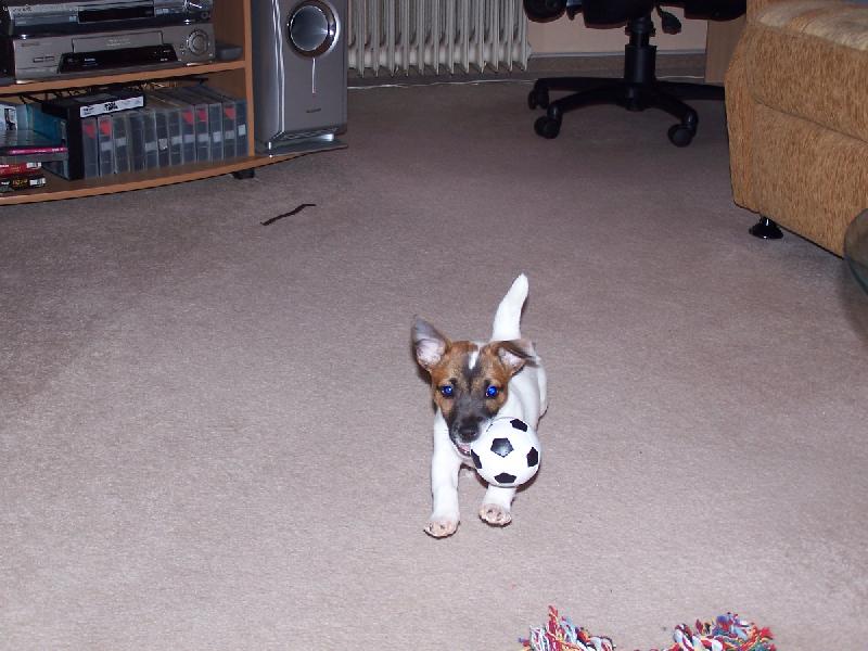 Foto: �to�n�k-U� m�m jasno, budu fotbalistou.