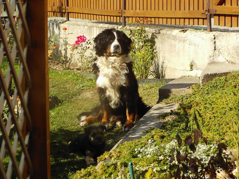 Foto: Na str�i...-Tady si na�i hafani u��vali posledn� tepl� letn� slun��ko