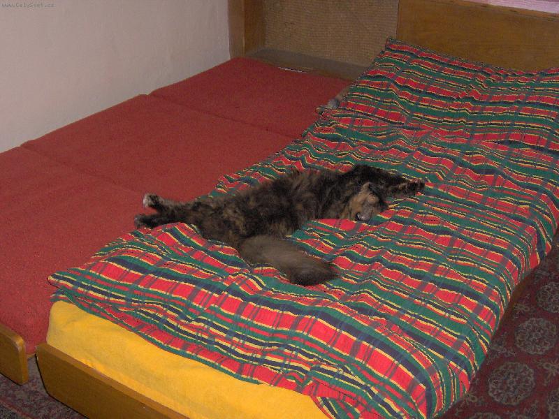 Foto: My�pulka-Jsem t�����������khle dlouh�