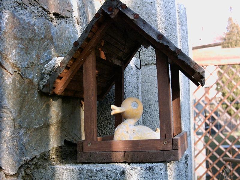 Foto: Kdo je to v krm�tku?