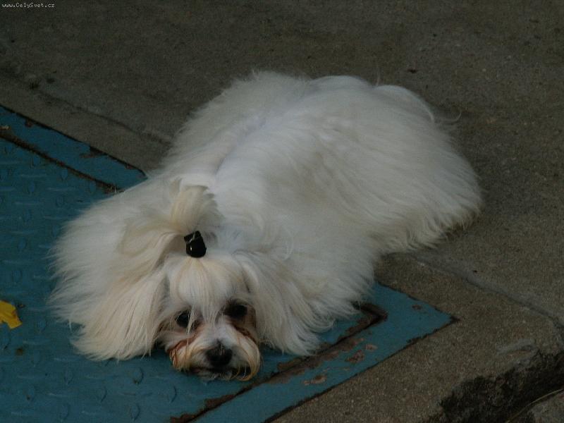 Foto: Evita-Tak kdy u� p�jdeme ?