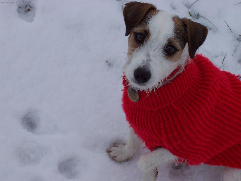 Foto: Nelinka venku-Nem� n�co dobr�ho?