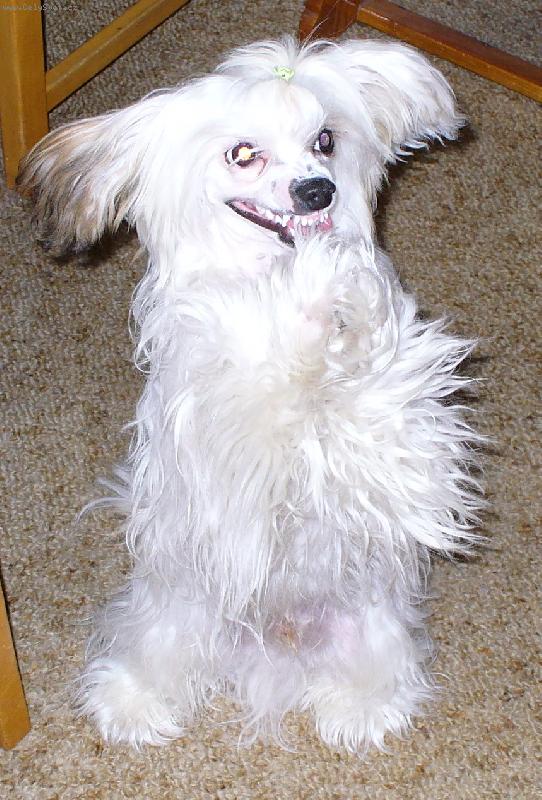 Foto: Sm�ju se na sv�t..-Sm�ju se na sv�t!!!