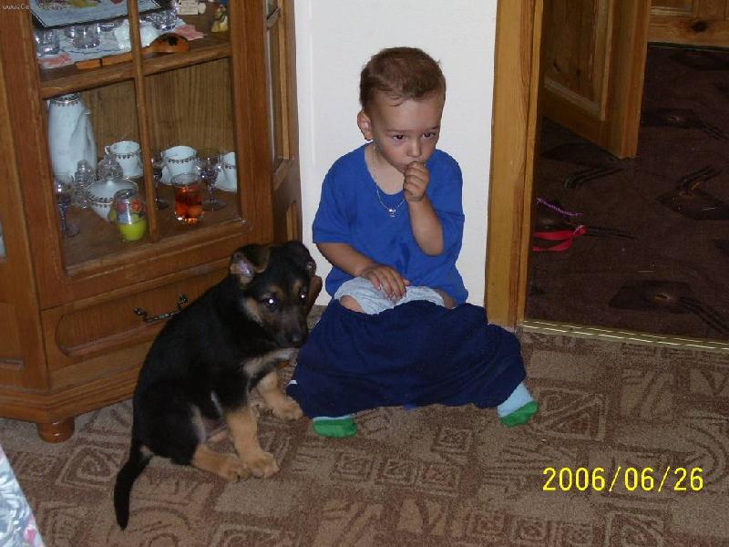 Foto: MAL� HL�DA�-no tak nev�m kdo koho hl�d�