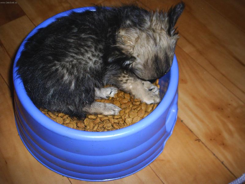 Foto: D�mon-   A� se probud�m,tak to v�echno sn�m.