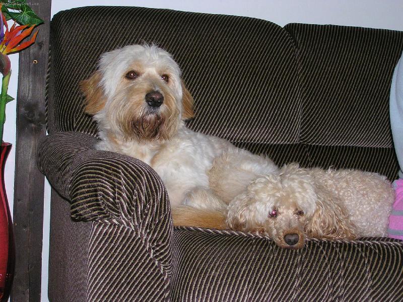 Foto: mal�j+velk�j-Endy+Mat�j