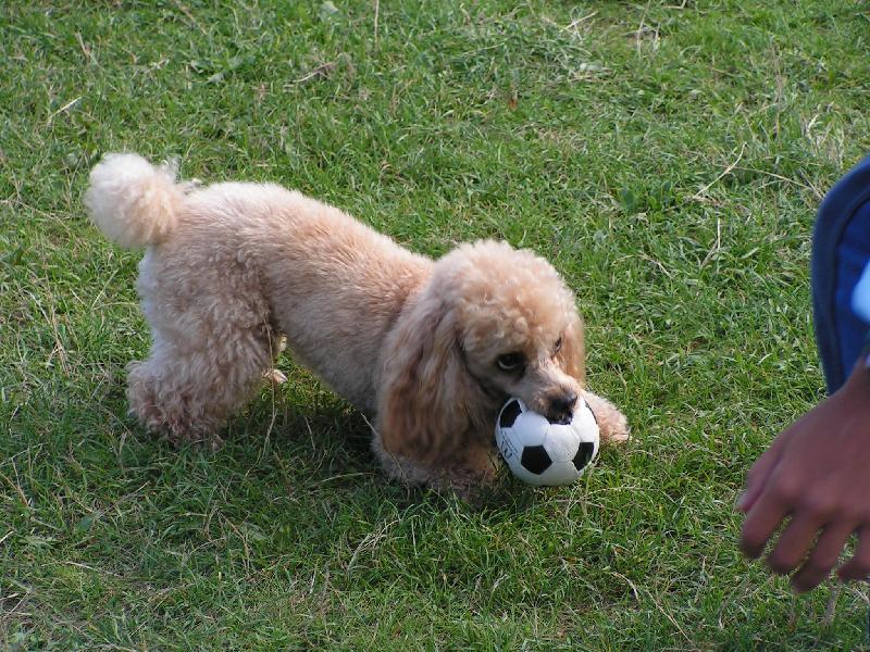 Foto: Tak,je m�j a te� si m� bude� muset chytit!-Ned�m,ani za nic.