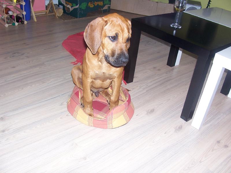 Foto: V�dy� j� nejsem tak velk� �t���tko