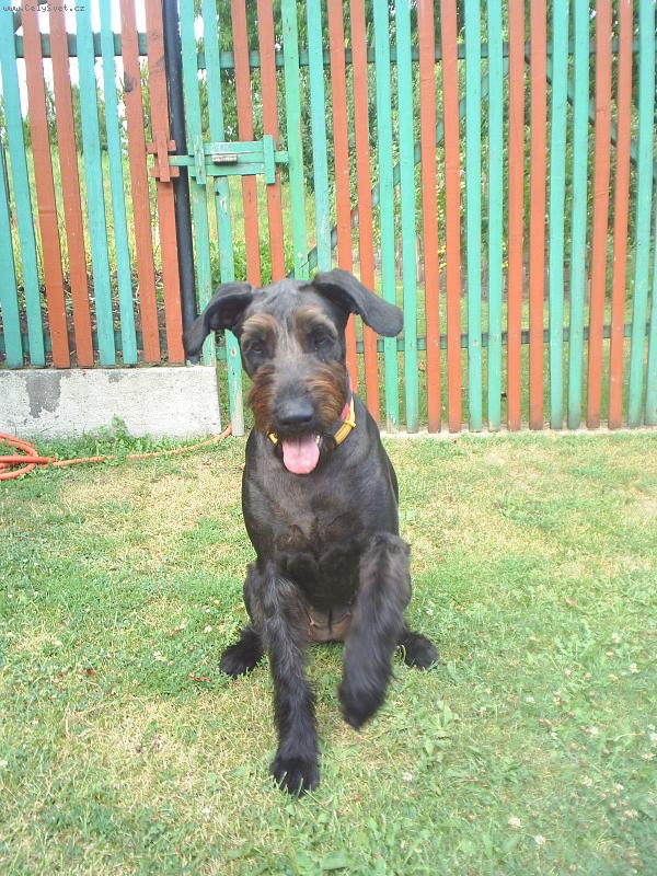 Foto: Bessinka-T�� m�, Bessinka