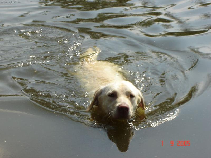 Foto: Voda je m�j �ivel...-Je to pr�ma!