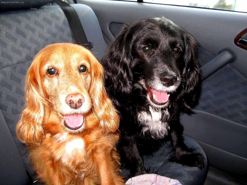 Foto: Rodinn� foto-Tak u� jedeme????