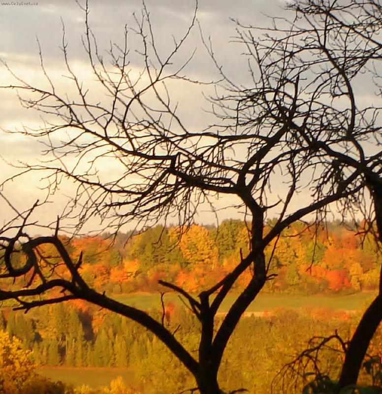Foto: Podzimn� n�lada....!