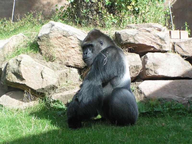 Foto: ZOO Praha-Richard