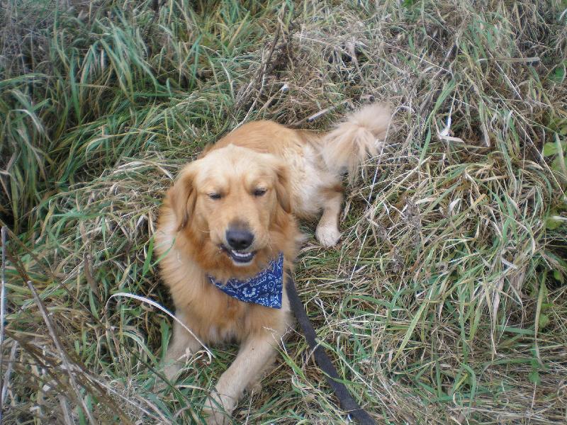 Foto: Max�k-m�j xicht�k:-))