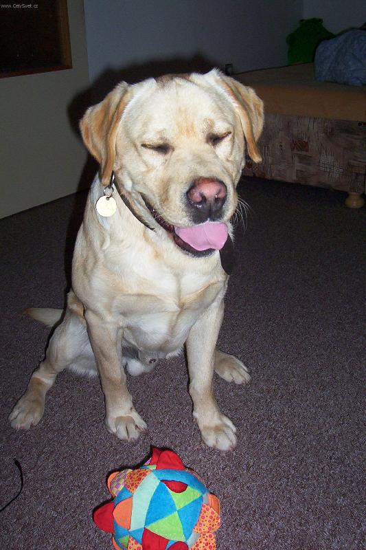 Foto: J� nejsem li��k!