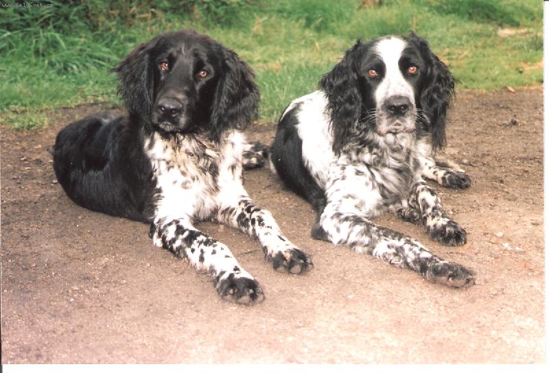 Foto: Nejlep�� oha�i-Kim od Star� vsi a Or z L�ck�ho bo��