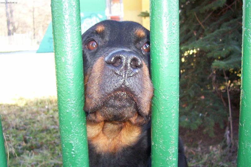 Foto: Pus�te m� na n�j!