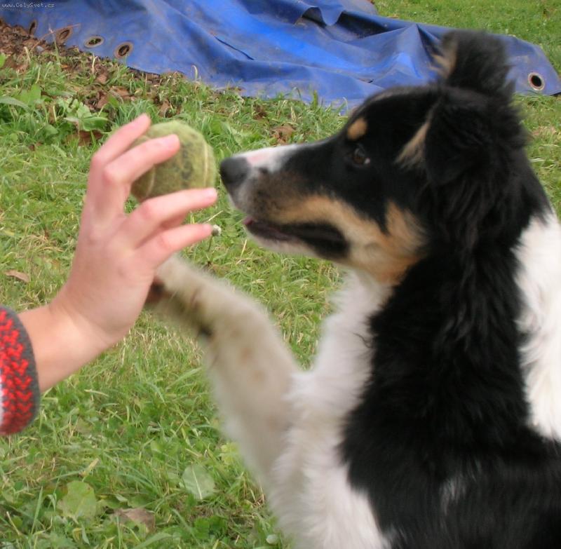 Foto: AUDI-....baloooonek....