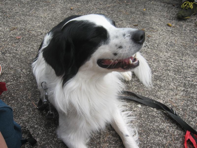 Foto: Bonie nebo-li neviditeln�-"Kdy� zav�u o�i, uvid� m�?"