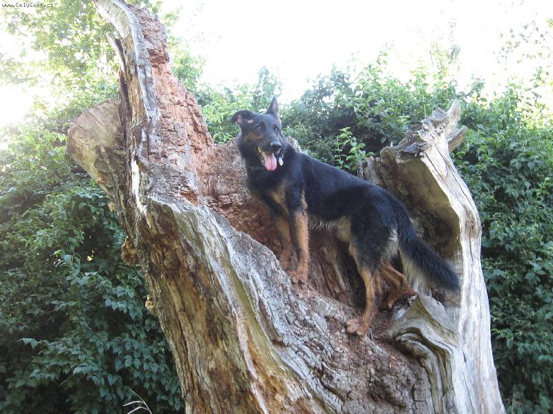 Foto: Hned m�m lep�� v�hled..-Ronny