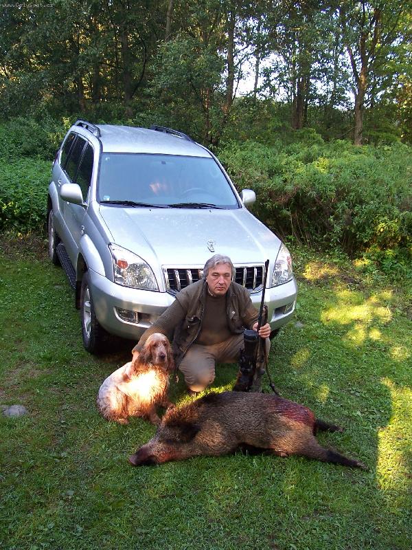 Foto: Na�el jsem divo��ka,vyhnal jsem ho, dohledal a stejn� mi ho zase seberou.-Kokr�pan�l DAR se sv�m prvn�m divo��kem