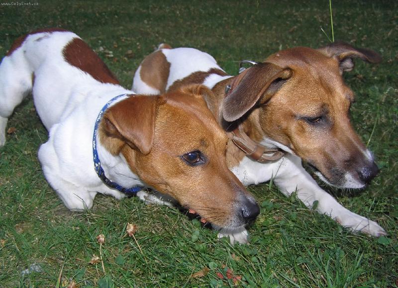 Foto: JAckie a Bert�k