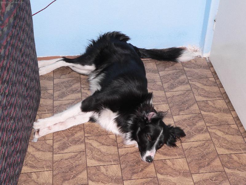 Foto: madam nevi jak by si lehla-Borgia